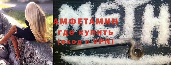 стафф Алзамай